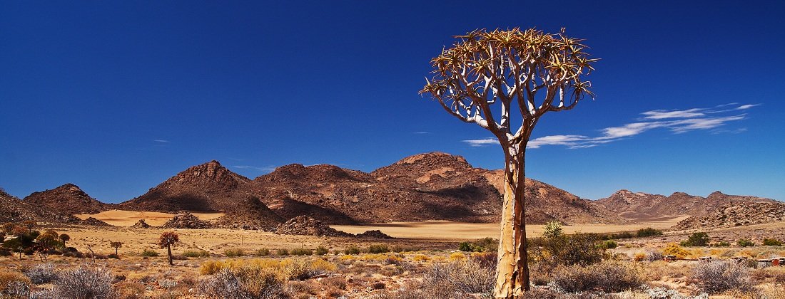 New build developments & lifestyle estates for sale in Northern Cape New build developments & lifestyle estates for sale in Northern Cape