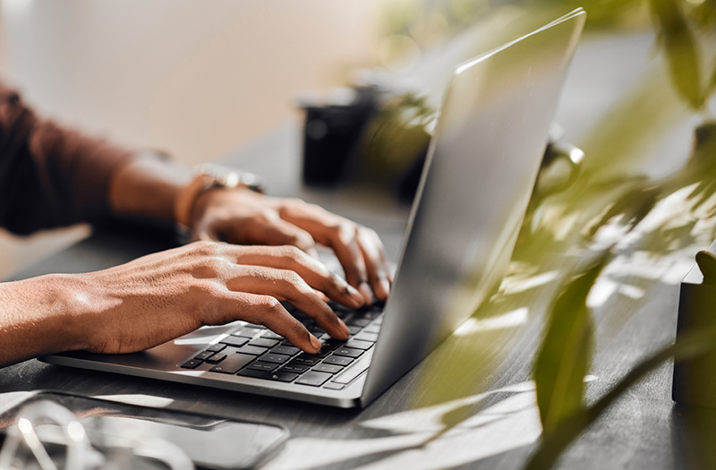 Pam Golding Properties logo