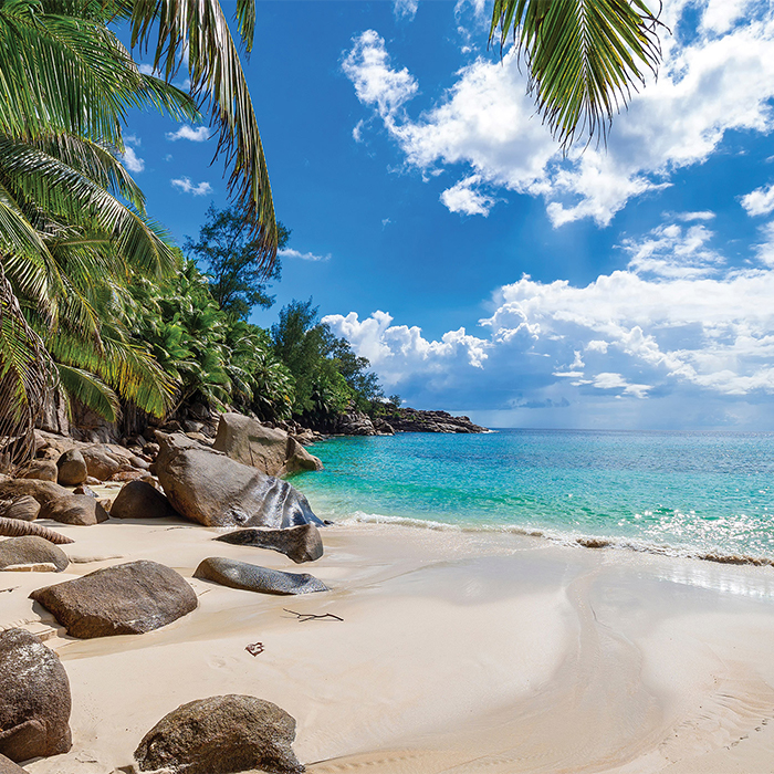 Seychelles residency by investment Seychelles residency by investment